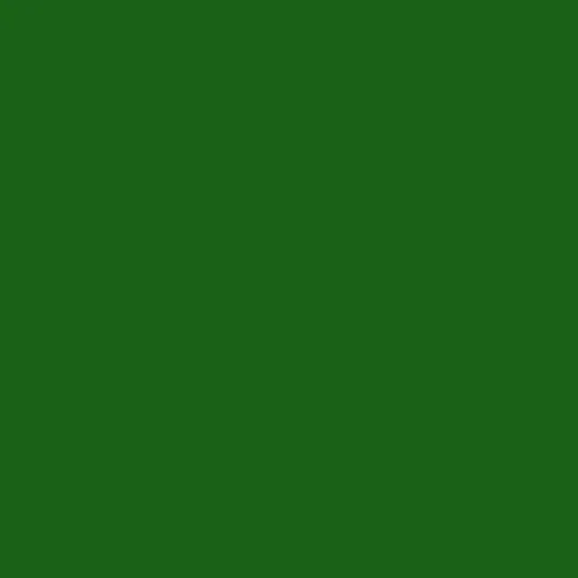 Liquid Eye waterhuis Dark Green donkergroen