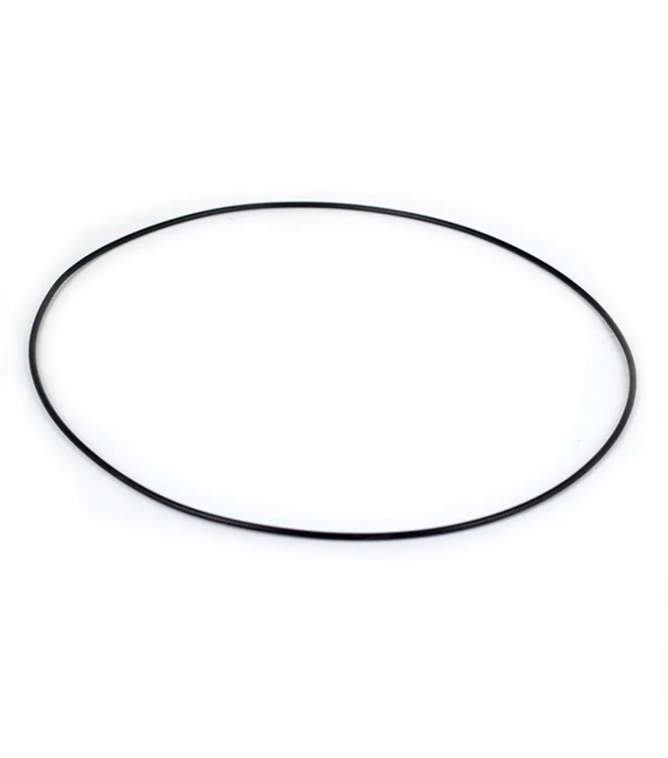 Liquid Eye M/L 22cm domeport O-ring NBR