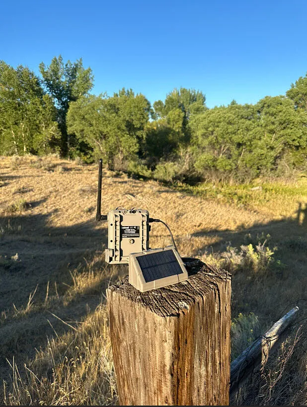 Bushnell CelluCORE 20 wildcamera dual sim 4G