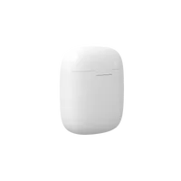Maginon BIK-3PLUS oordopjes bluetooth draadloos laden
