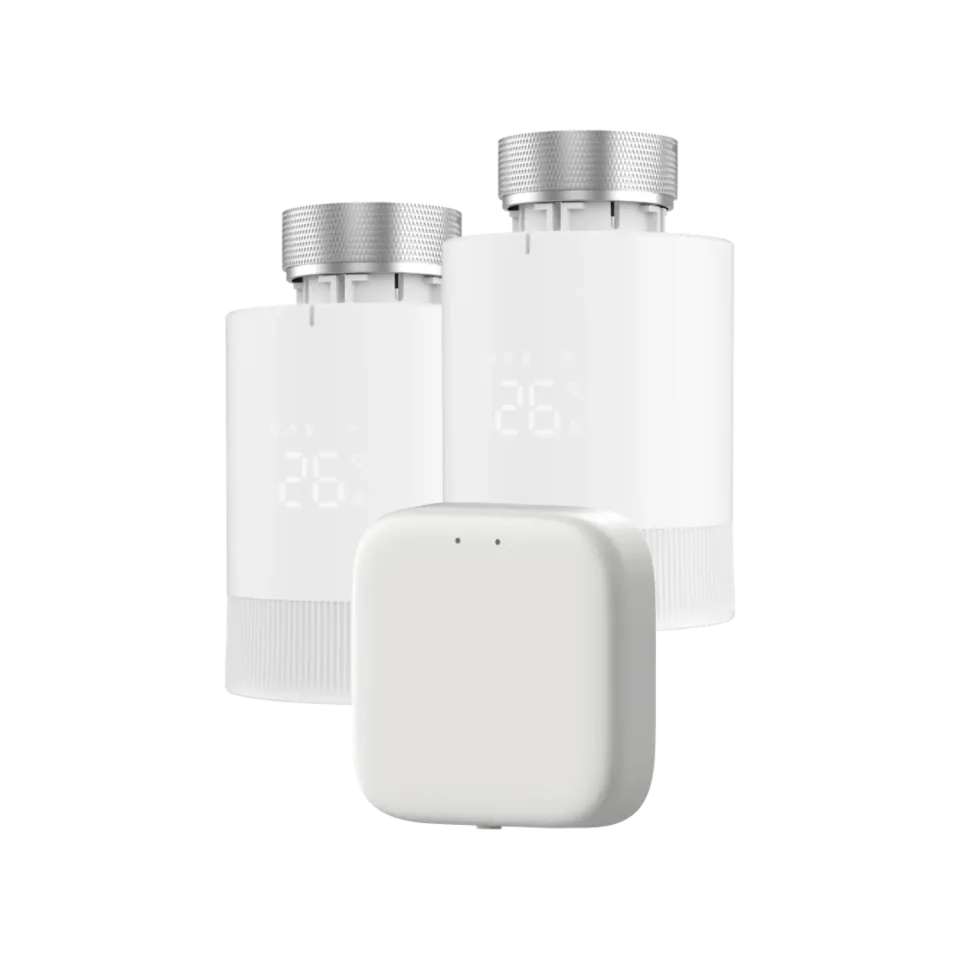 Maginon WT-1 thermostaat 2x met WT-2G gateway Zigbee