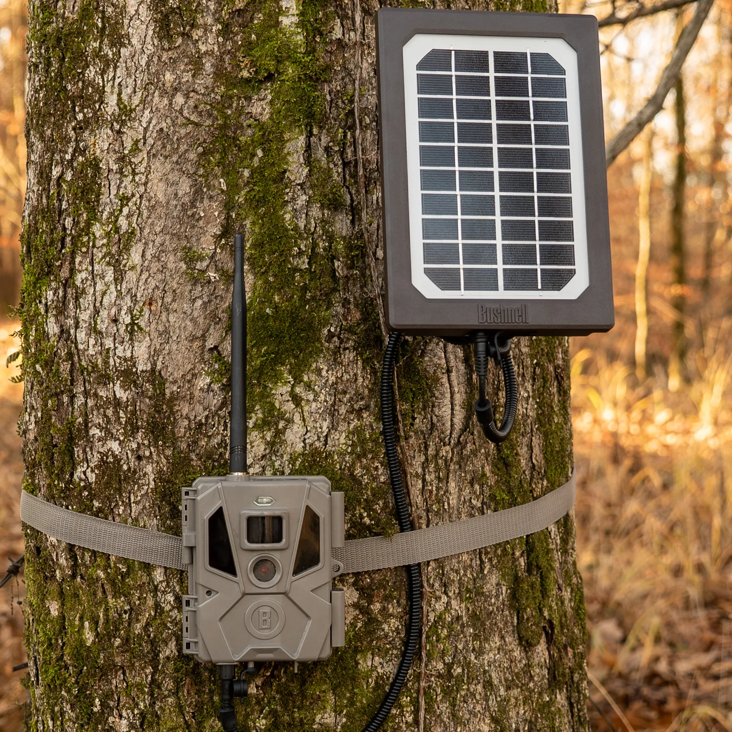 Bushnell wildcamera zonnepaneel solar