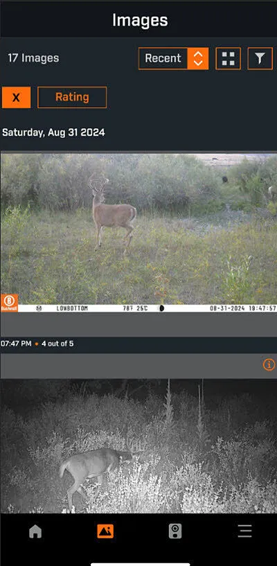Bushnell CelluCORE 20 wildcamera dual sim 4G